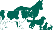 tiere